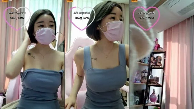 BJ도화-zzgg00-20211121