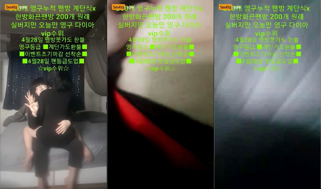 BJ백야-rkdcjfdl1-20211125