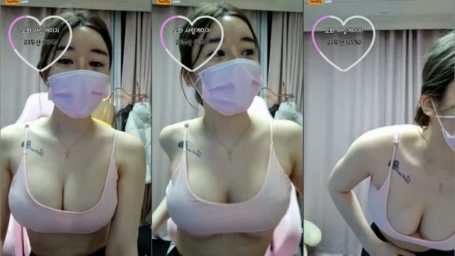 BJ도화-zzgg00-20211201