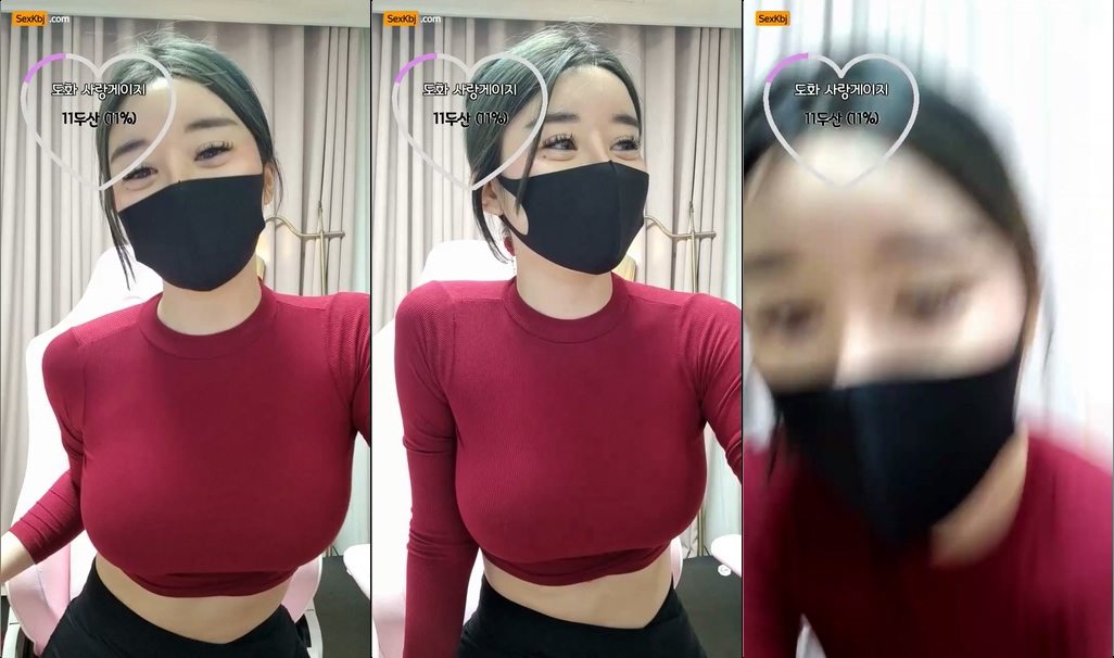BJ도화-zzgg00-20211222