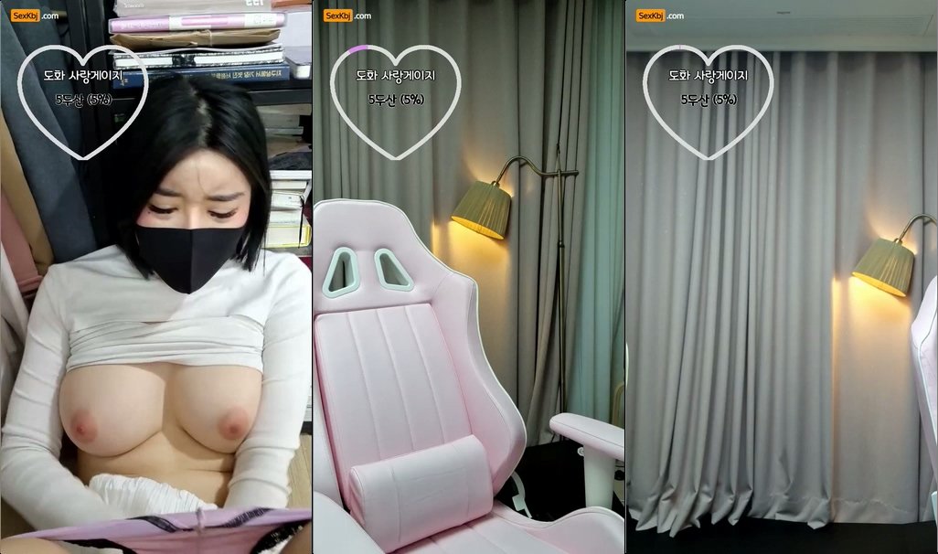 BJ도화-zzgg00-20211226