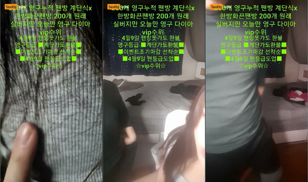 BJ백야-rkdcjfdl1-20220101