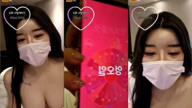 BJ도화-zzgg00-20220330