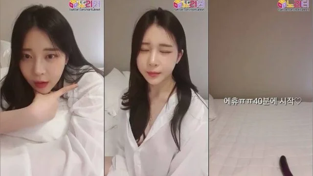 BJ푸딩-yy282-20220515