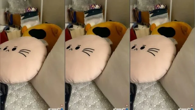 Korean_BJ-20220410-02