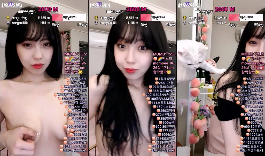 BJ모모-asdzxcv1212-20221228