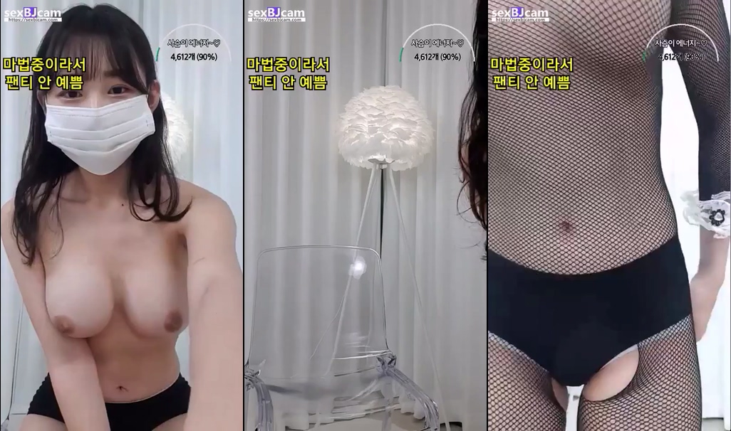 BJ사슴-wlsl1040-20221016
