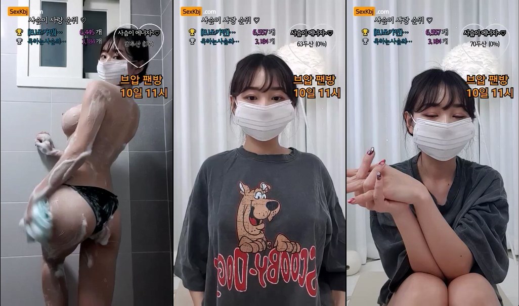 BJ사슴-wlsl1040-20221130