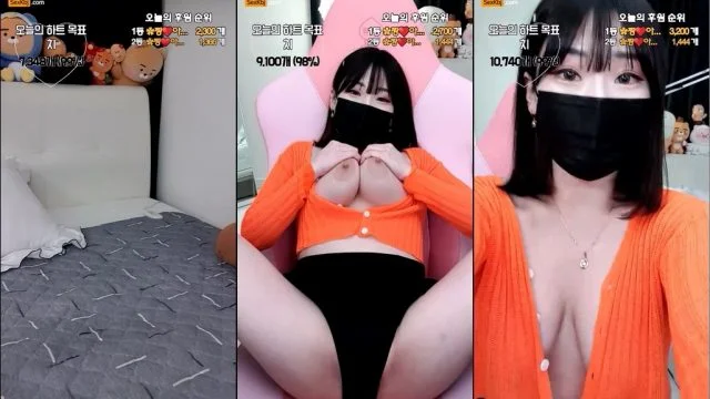 BJ짱아-bobopipi-20221201