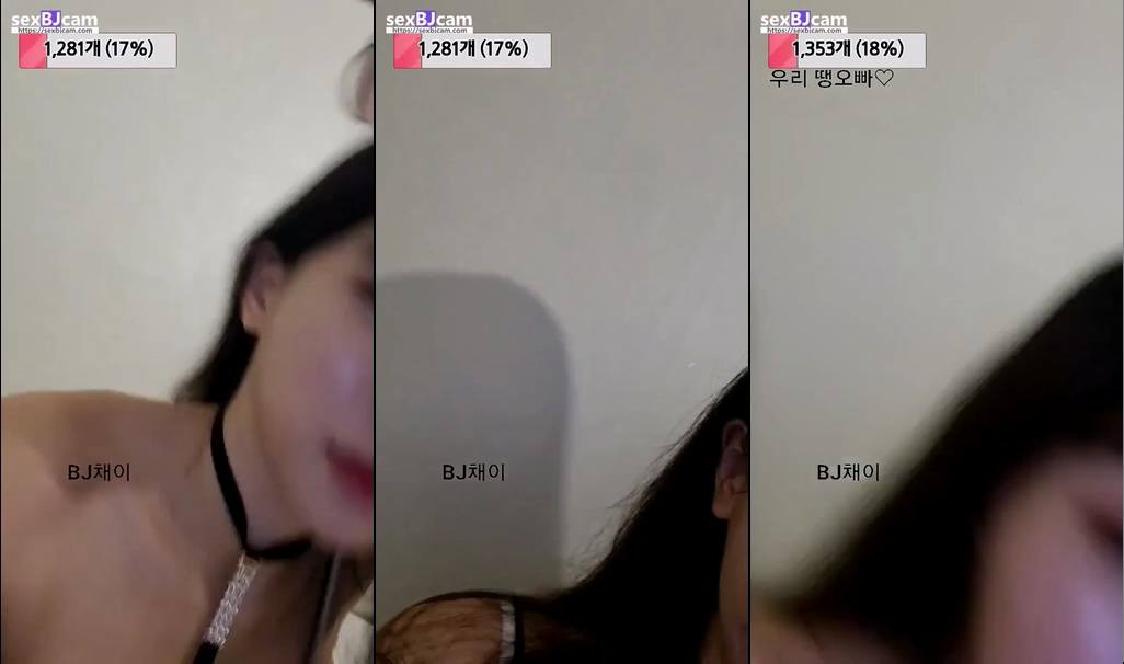 BJ채이-ssefth1203-20221225