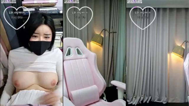 BJ도화-zzgg00-20230121-1