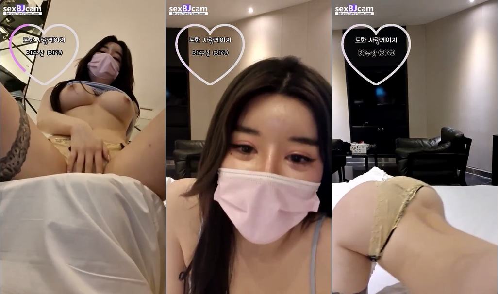 BJ도화-zzgg00-20230225