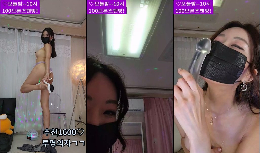 BJ레이디벨라-thddnjf179-20230131