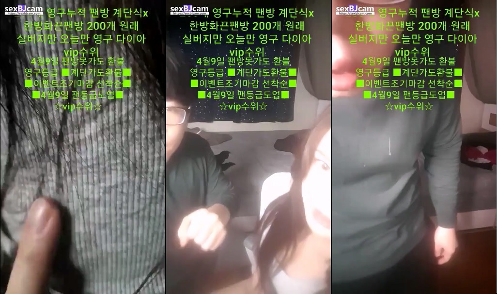 BJ백야-rkdcjfdl1-20230112