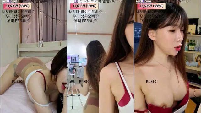 BJ채이-ssefth1203-20230106