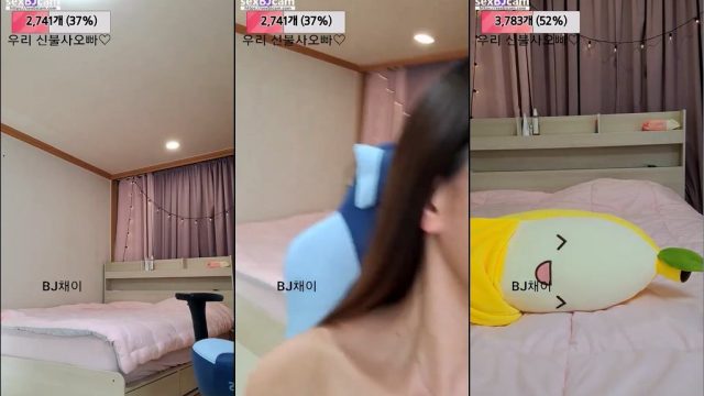 BJ채이-ssefth1203-20230117