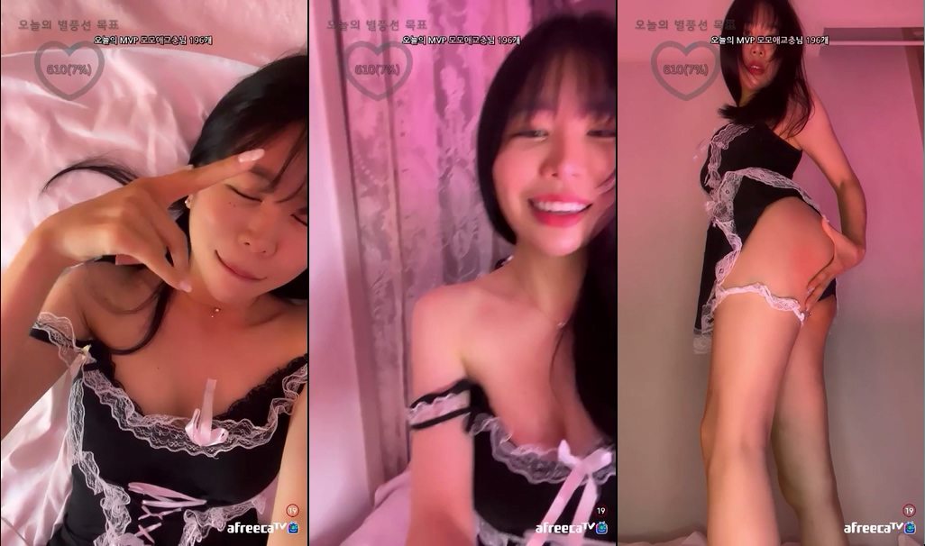 BJ모모-dpwl1114-20230627