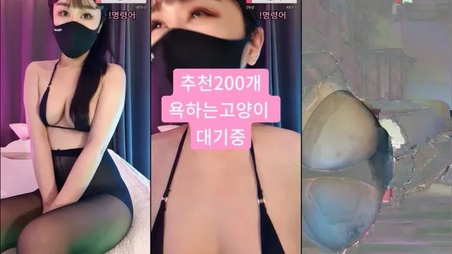 BJ유가인-copicopi-20230628