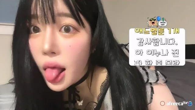 BJ유별-pofo40 -20230627
