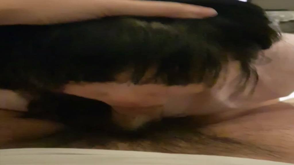 KA23040259-다먹었어-4-thebjav