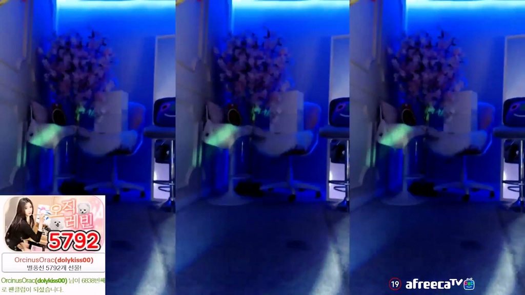 BJ레빈-h920823-20230811