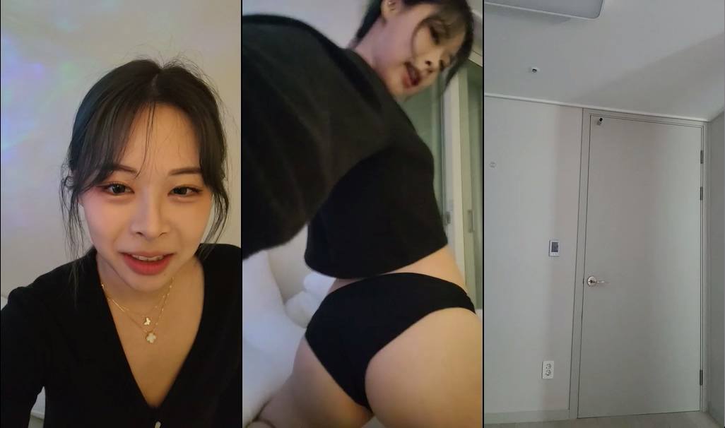 BJ솜먼지-ajswl12-20230922