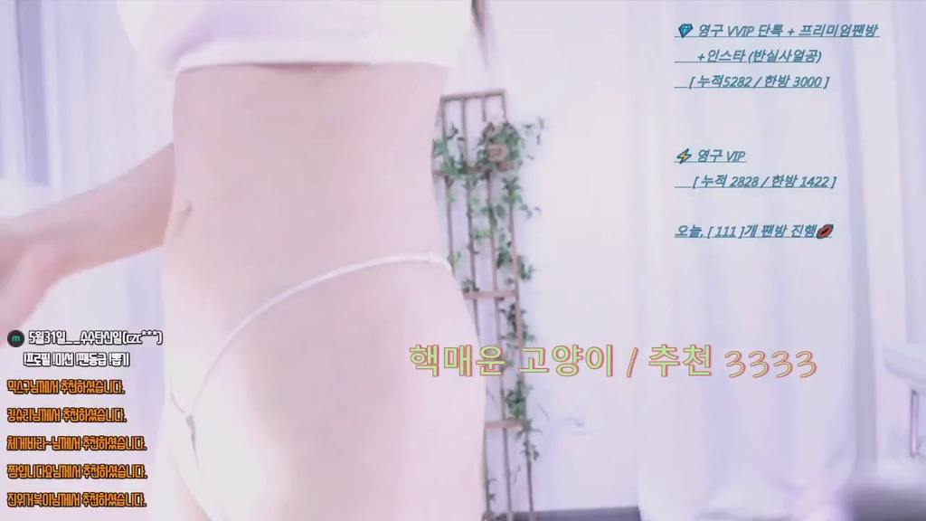 BJ수수-angelouo-20231025