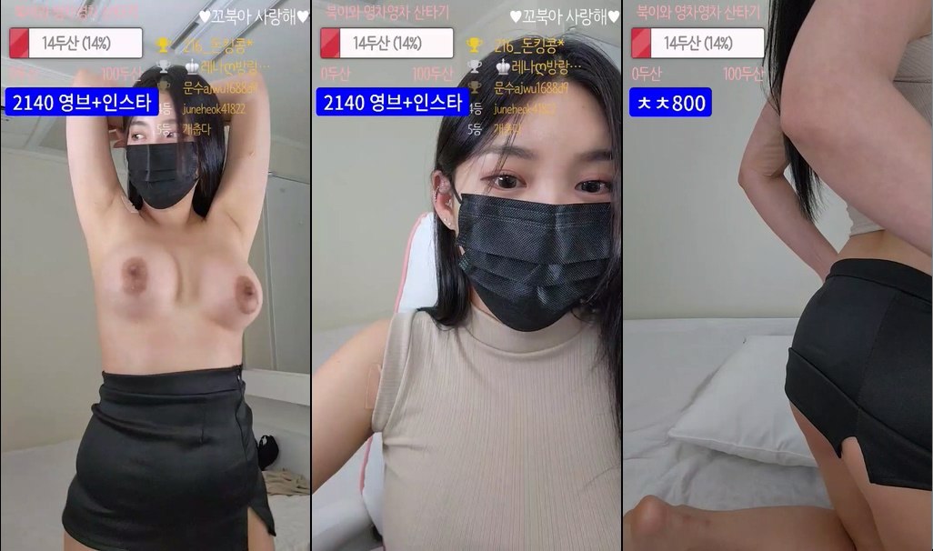 BJ꼬북-aa000sss-20231224