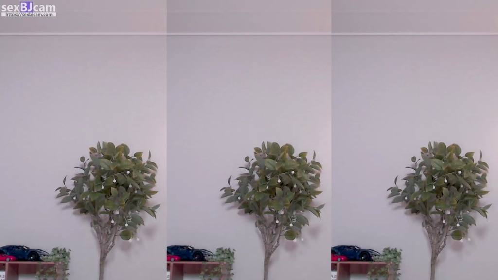 BJ꾸삐삐-dmsdms1247-20231220