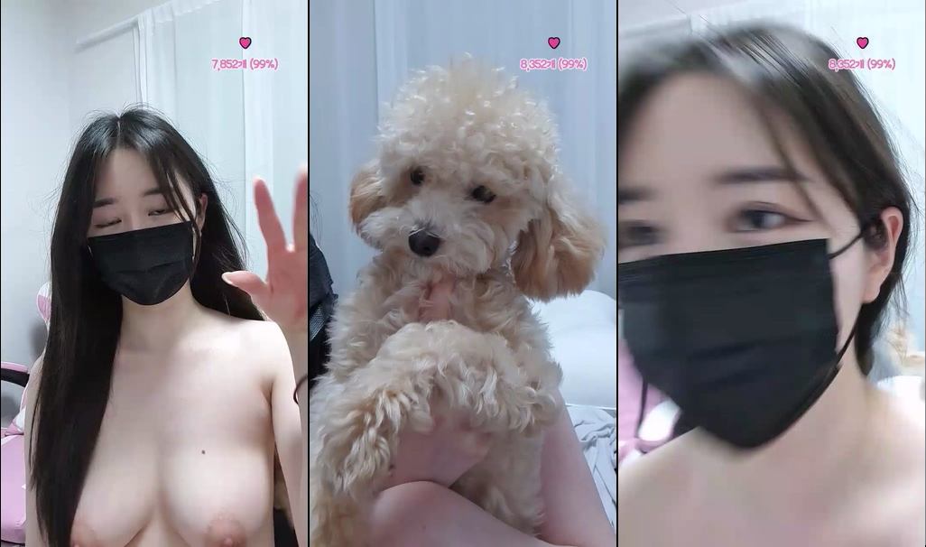 BJ야혜지-xs0624-20231219