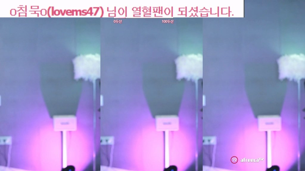 BJ정소다님-zbxlzzz-20231217