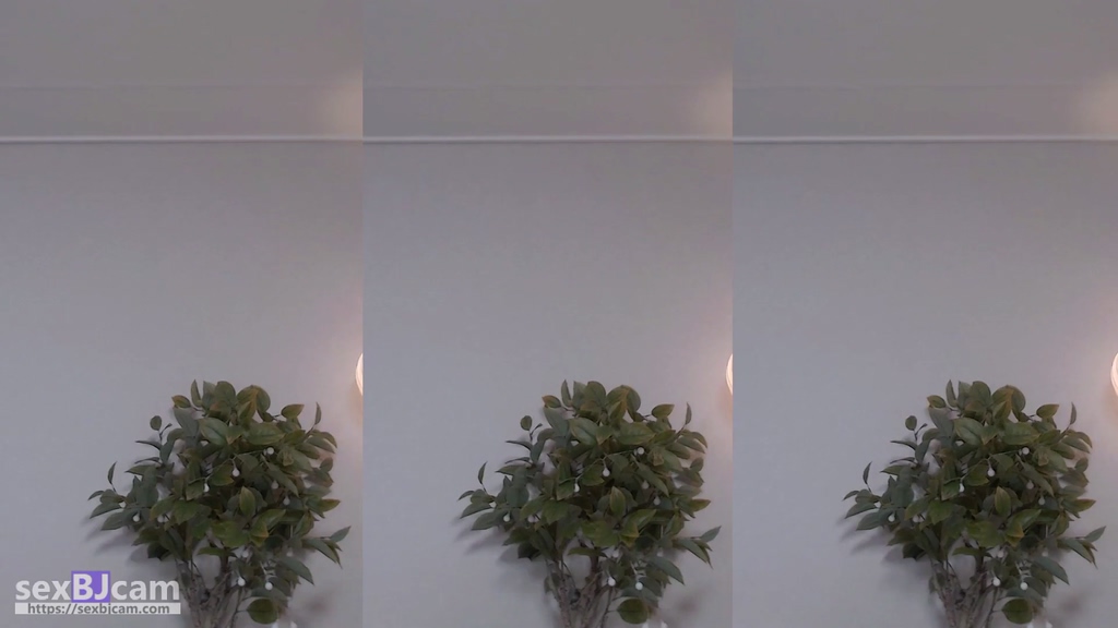 BJ꾸삐삐-dmsdms1247-20240518
