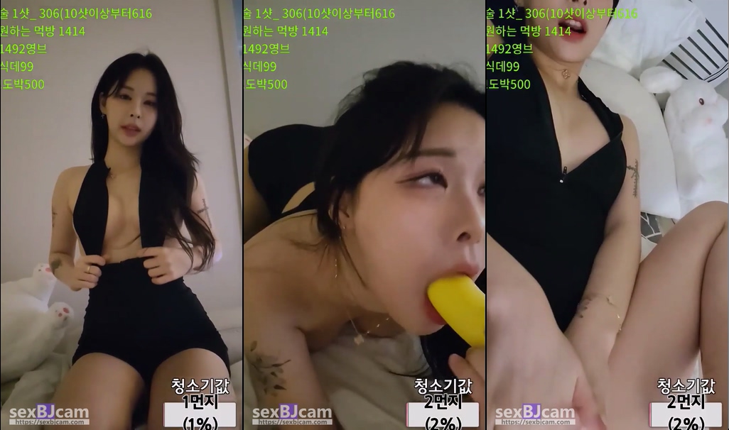 BJ솜먼지-ajswl12-20240701
