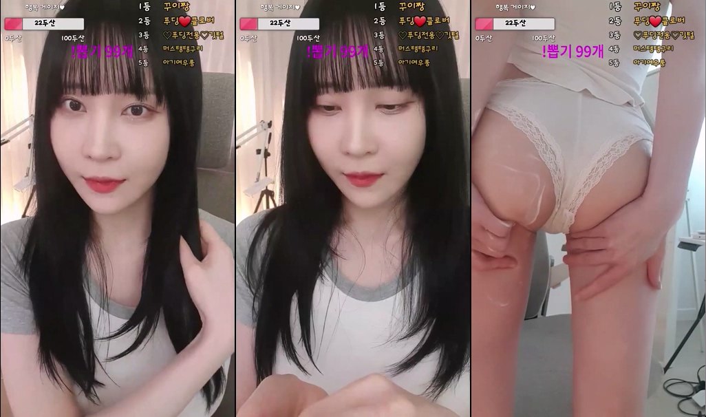 BJ푸딩-pupu28-20240814