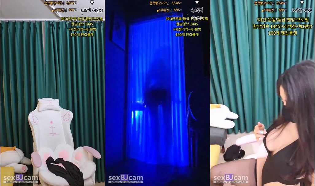 BJ네무-nemu00-20241024