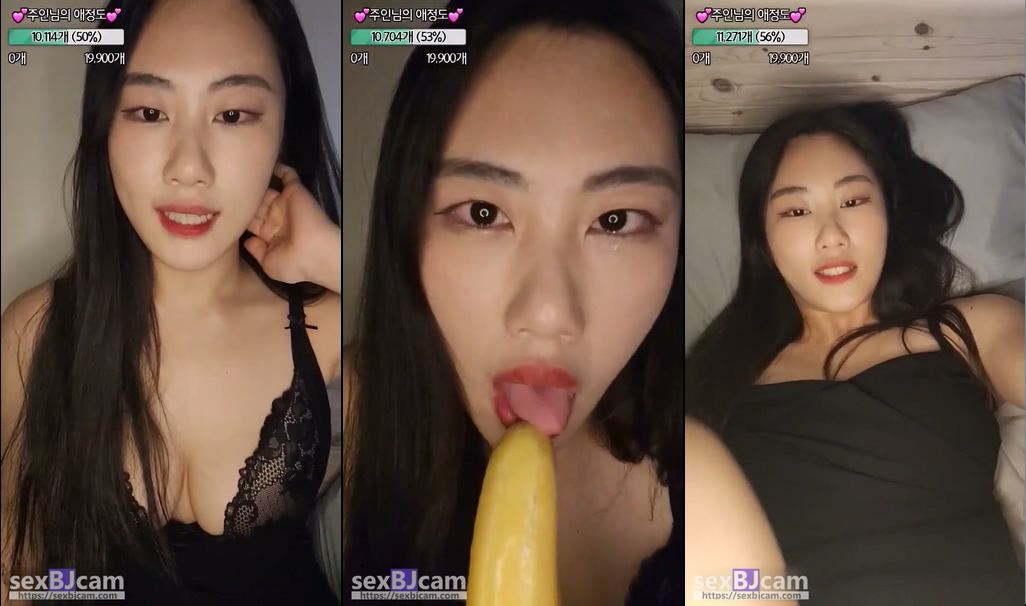 Korean-BJ-dana2377-20250417