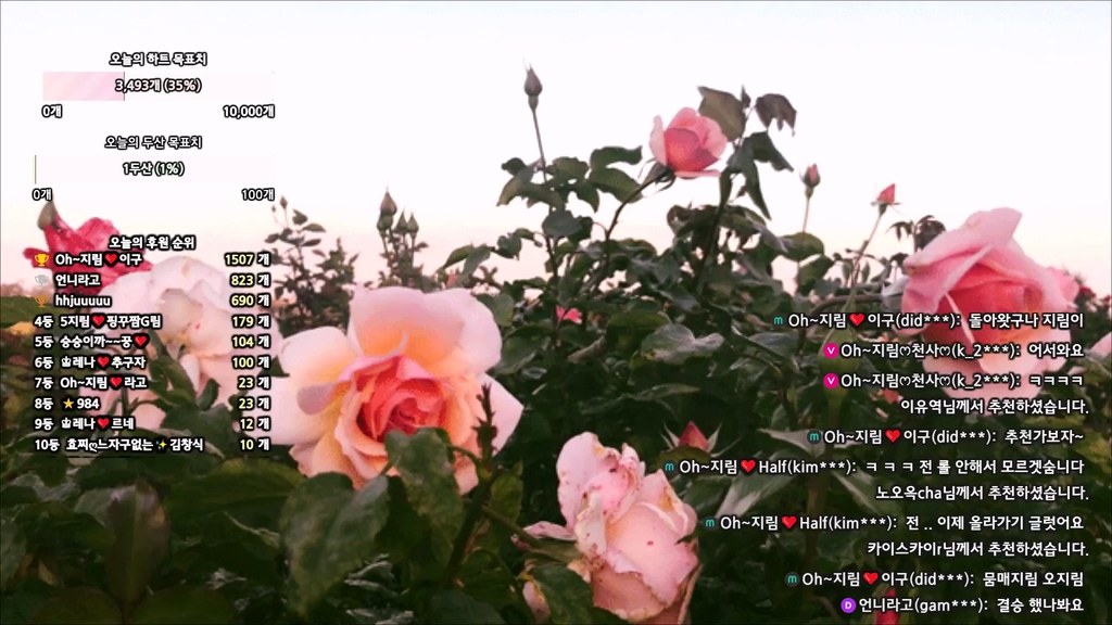 Korean-BJ-100472-20250830