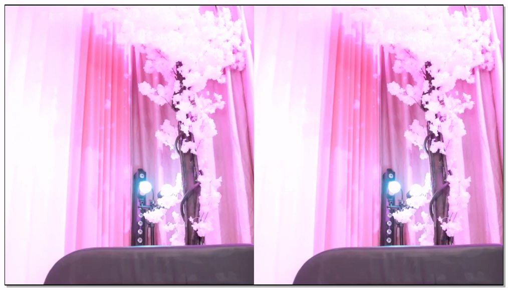 Korean-BJ-315-luvsy2-20260211