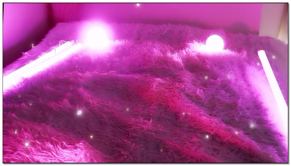 Korean-BJ-667-heenoo-20260323