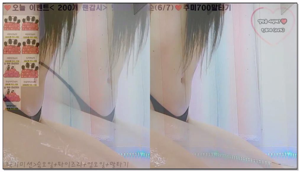 Korean-BJ-751-zlap990-20260326