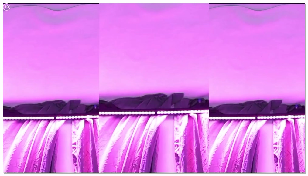 Korean-BJ-835-bks1004-20260328