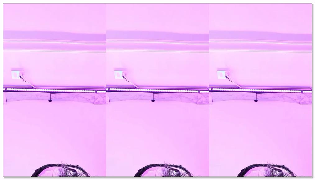 Korean-BJ-488-bo1004-20260425