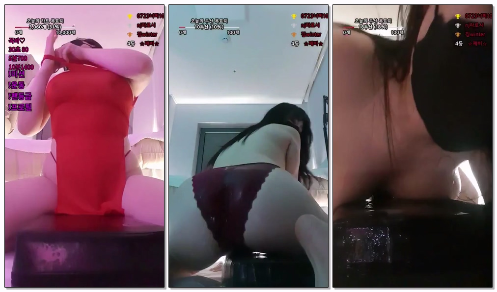Korean-BJ-36-lifehaker99-20260502