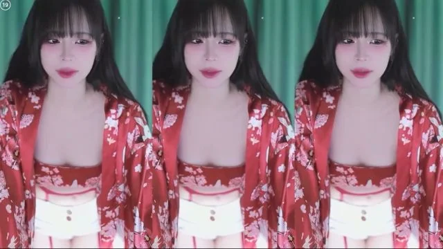 BJ류안-navi04-26052113