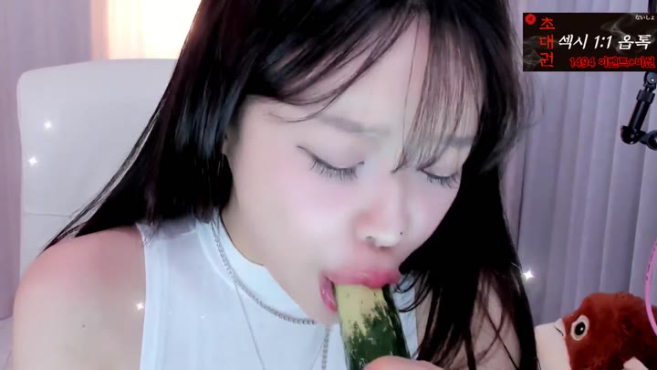 BJ하이규나-tothetop7727-26052839