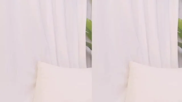 BJ금비-pupple0206-26060419