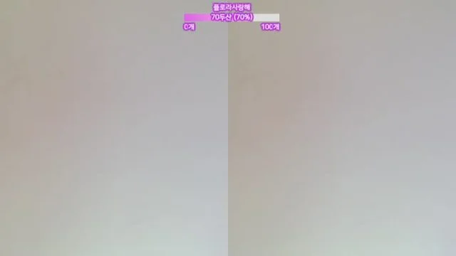 BJ플로라-flora317-26060515