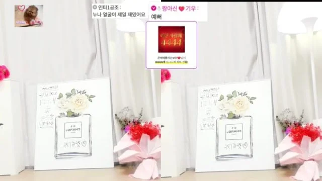 BJ짱아신-cherrybest-26060232