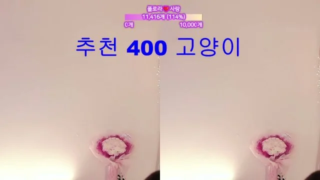BJ플로라-flora317-26062010