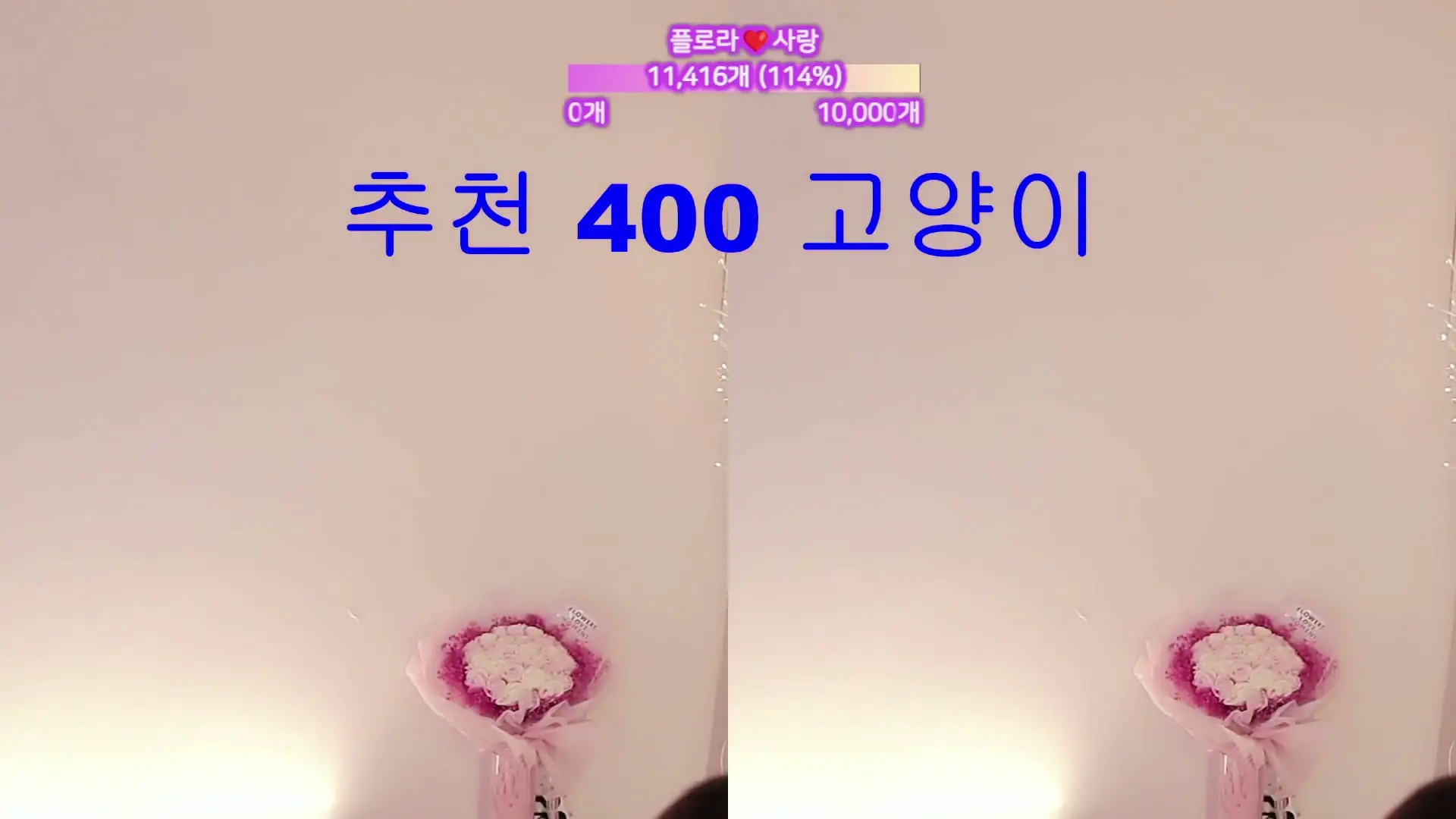 BJ플로라-flora317-26062010